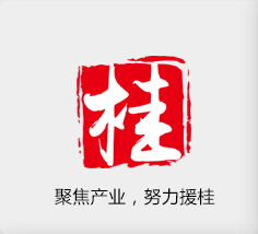 聚焦產(chǎn)業(yè)，努力援桂